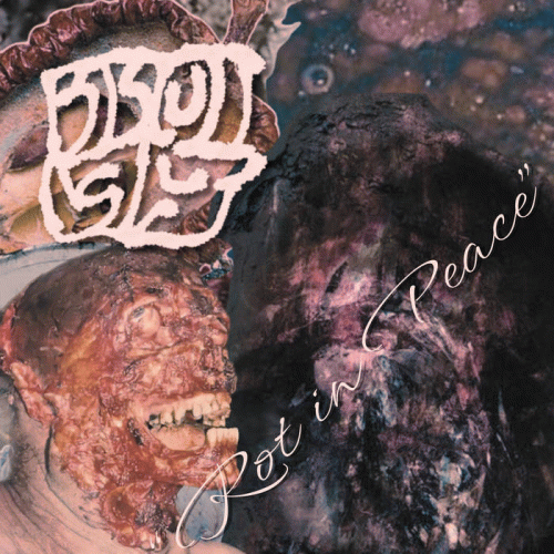 Biscuitslut : Rot in Peace